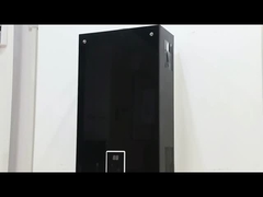 10L 2,6GPM Podgrzewacz wody Panel o czarnej powłoki LPG NG Typ gazu