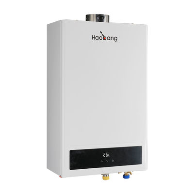 Display Balanced Flue Water Heater with 11L/Min Water Production