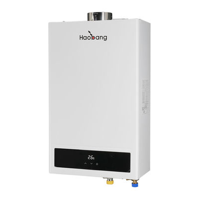 Display Balanced Flue Water Heater with 11L/Min Water Production