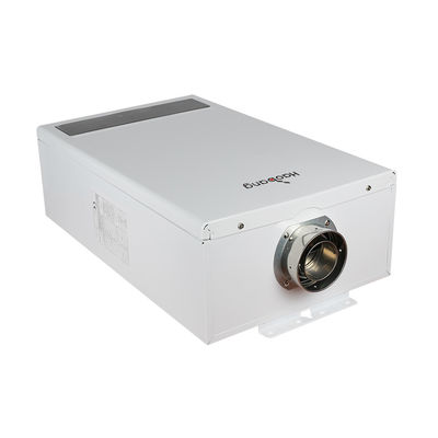 Display Balanced Flue Water Heater with 11L/Min Water Production