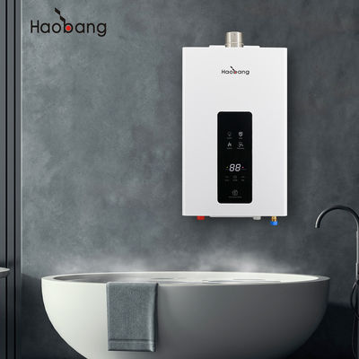 Easy Installation Wall Mounted Forced Vent Gas Water Heater For Household Convenience