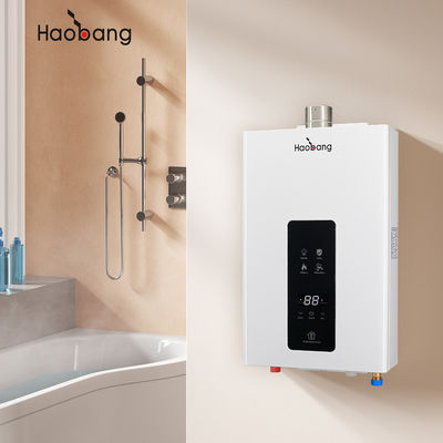 Easy Installation Wall Mounted Forced Vent Gas Water Heater For Household Convenience