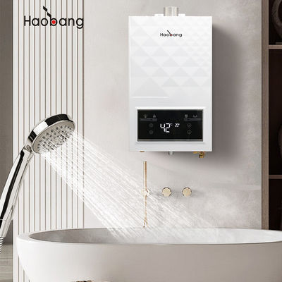 Affordable And Durable Forced Exhaust Gas Water Heater 10L Capacity 60MM Flue Dimension