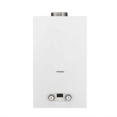 20L Flue Type Tankless Gas Water Heater LPG NG Wall Mounted